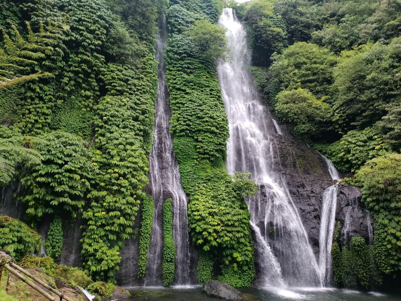 Banyumala twin waterfall pouring down a fern-covered cliff