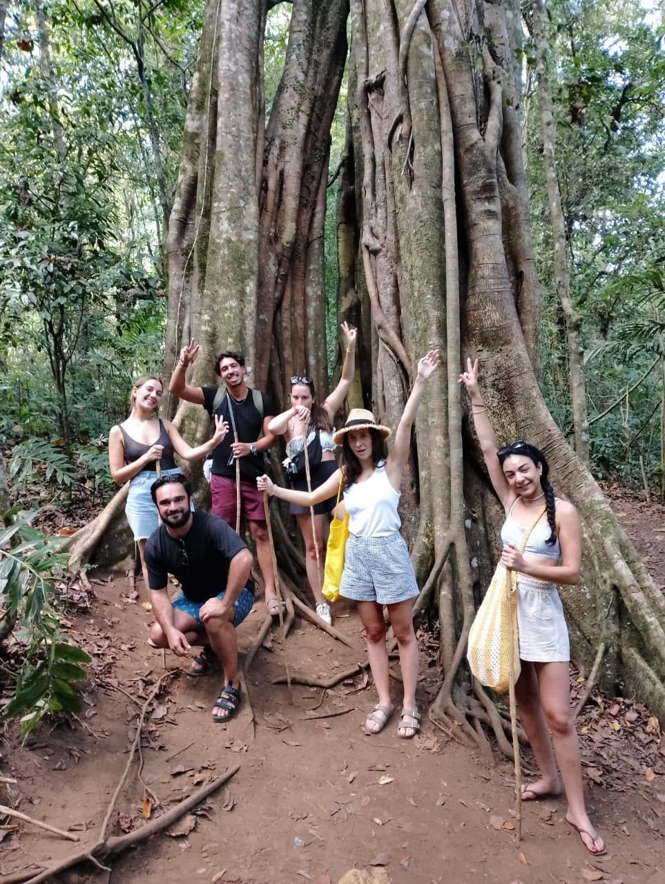 A group of hikers celebrating at the foot of a giant banyan tree