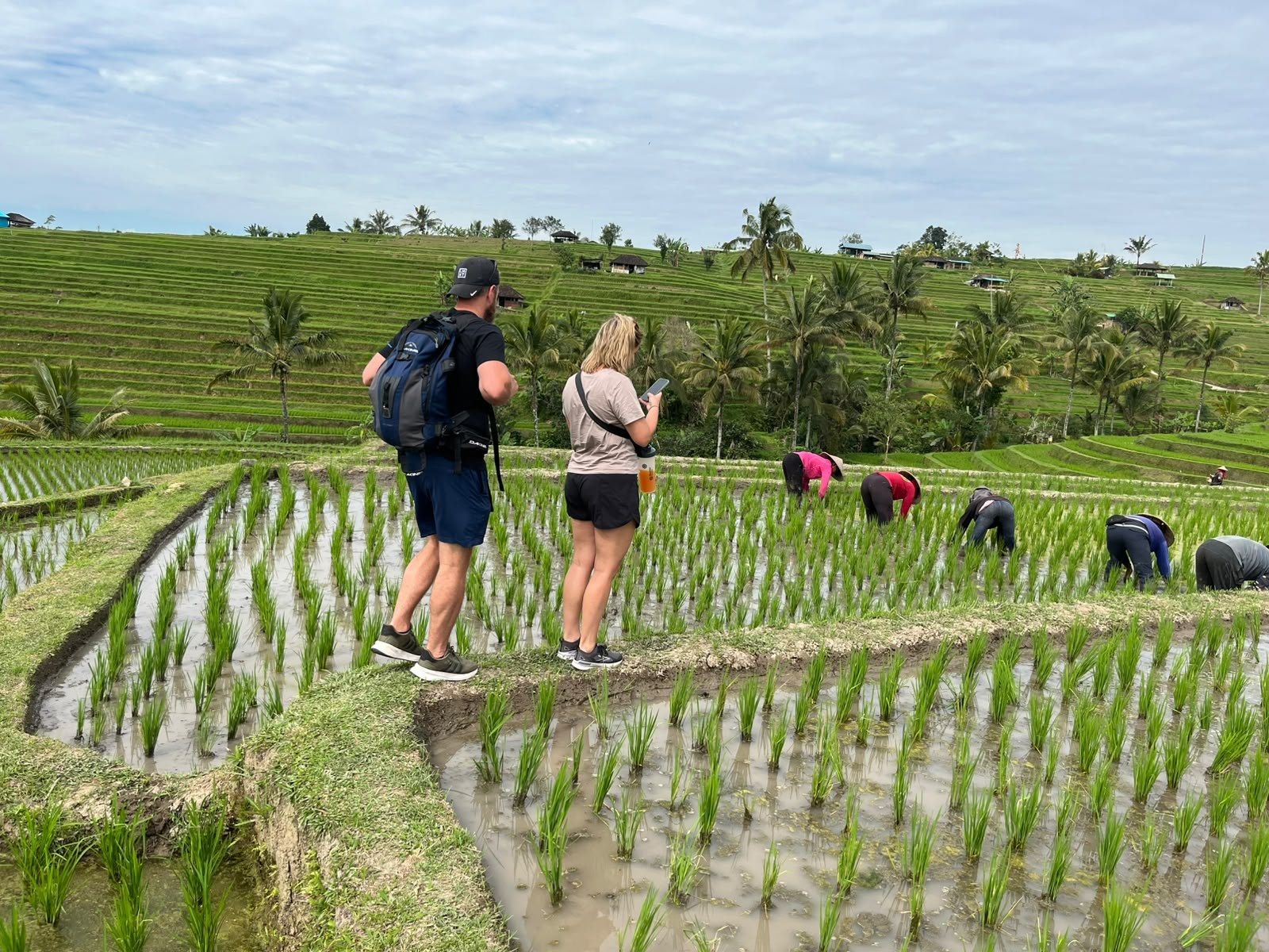 Visitors on a path through the Jatiluwih rice terraces while farmers plant rice
