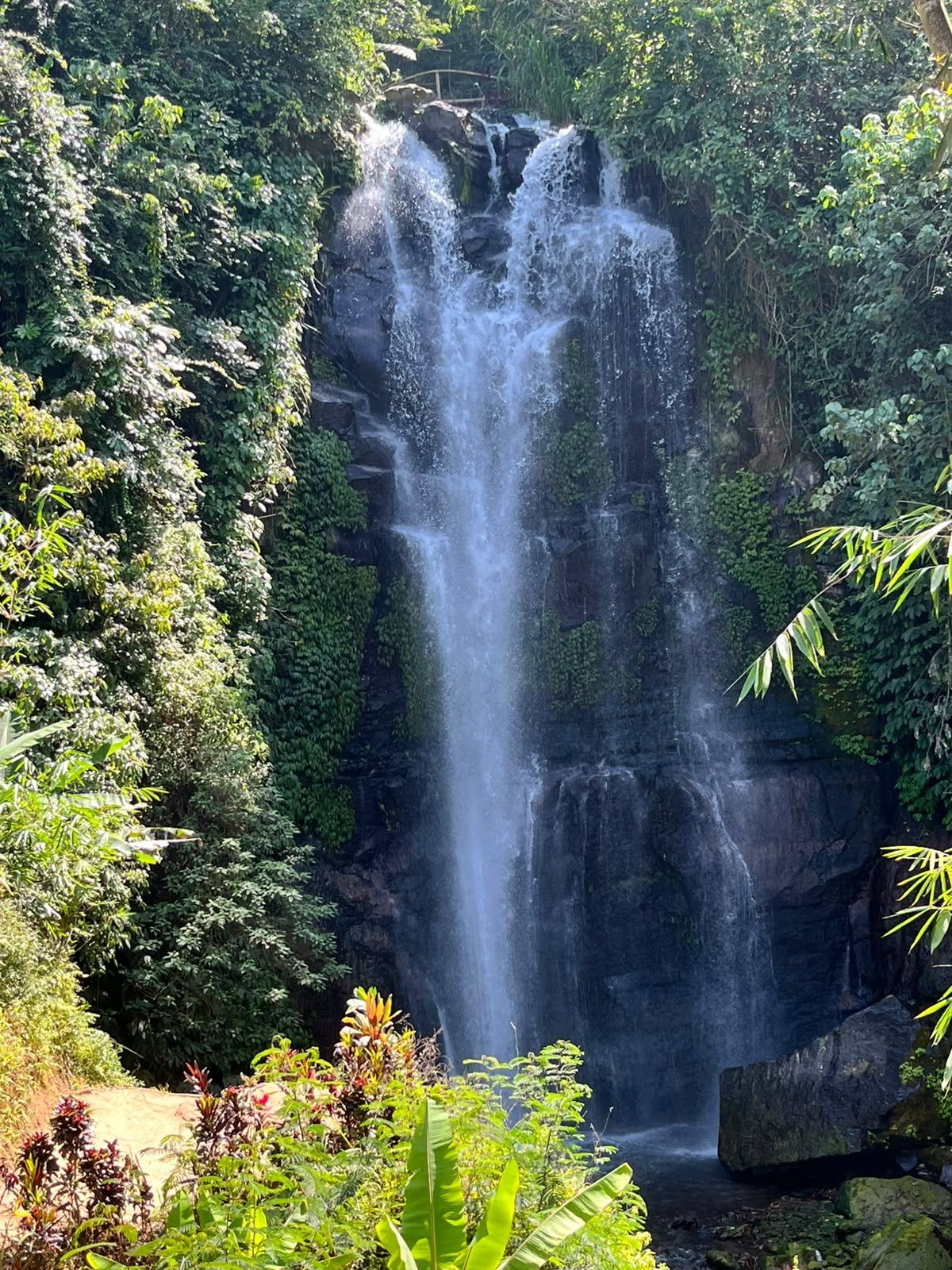 Waterfall framed by jungle on the Munduk trail