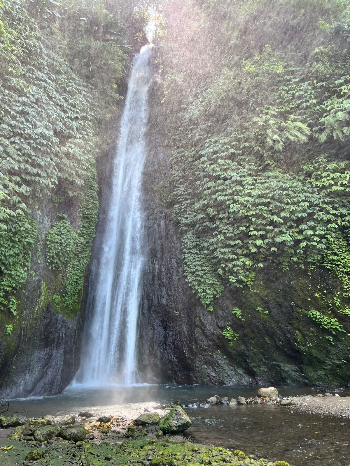 A tall waterfall falling into a rocky pool in the jungle near Munduk