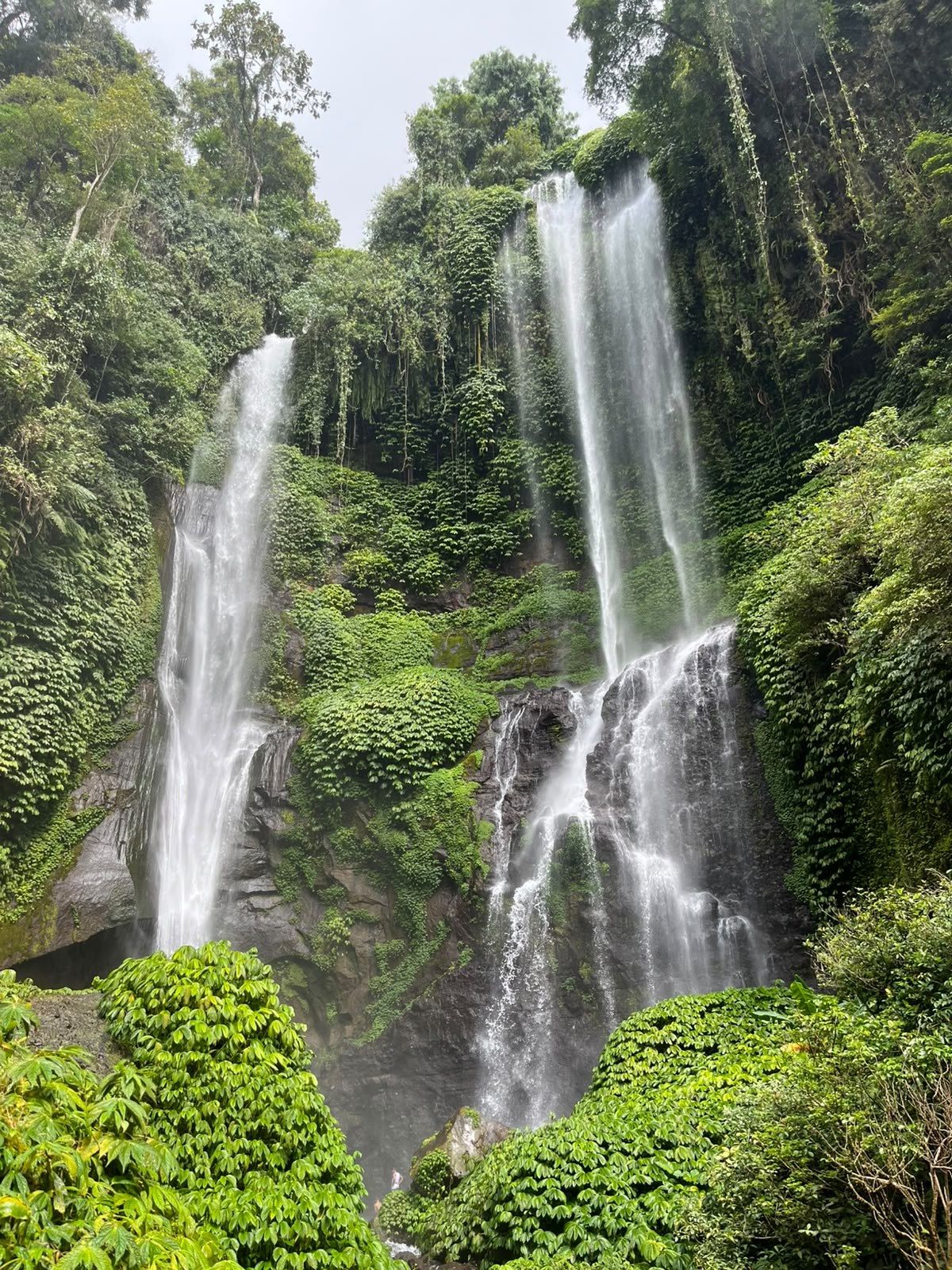 Two of the tall falls at Sekumpul waterfall surrounded by jungle