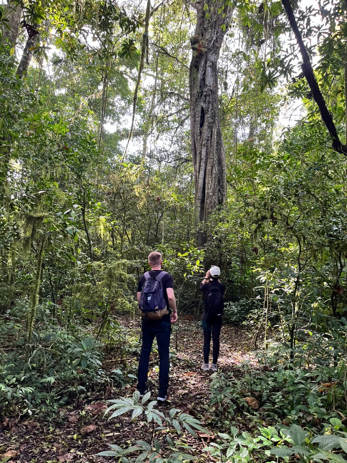 Two hikers on the forest trail down to Lake Tamblingan