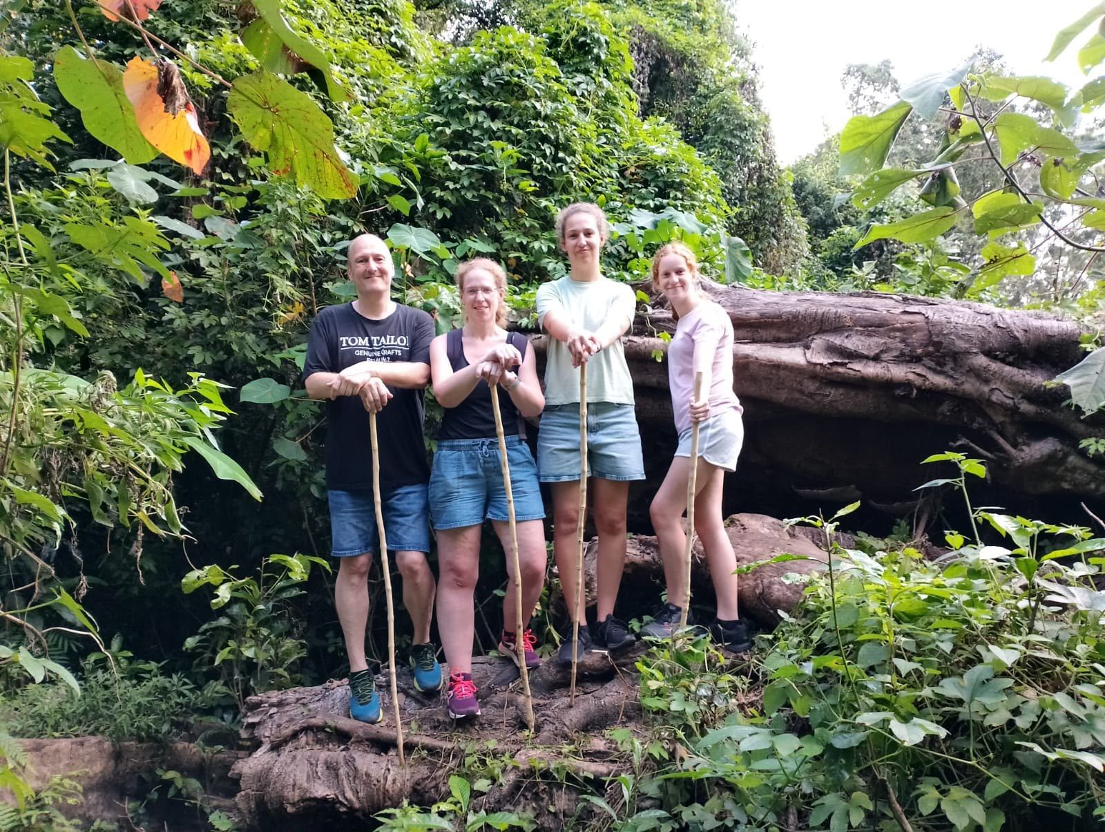 A group of hikers with walking sticks on a fallen tree in the jungle