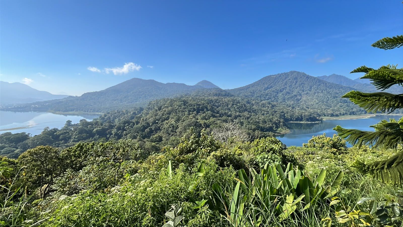 Lake Buyan and Lake Tamblingan seen from the forest ridge above Munduk